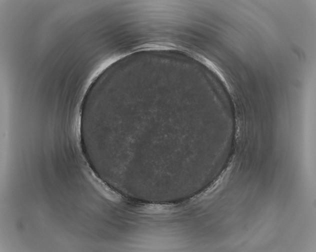 X0000112801179200909041426