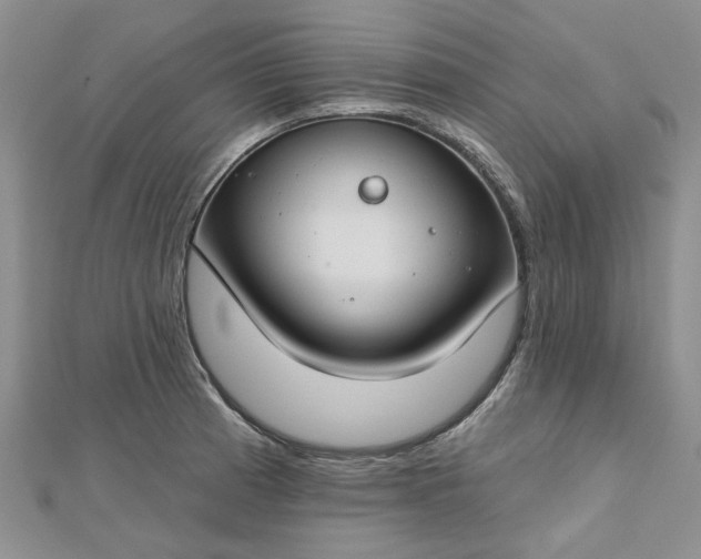 X0000112801185200909041426