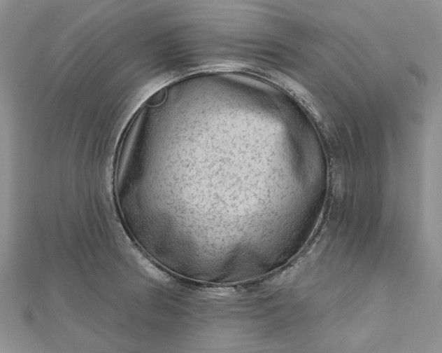 X0000112801186200909041426