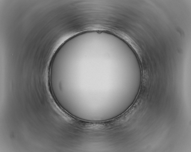 X0000112801187200909041426