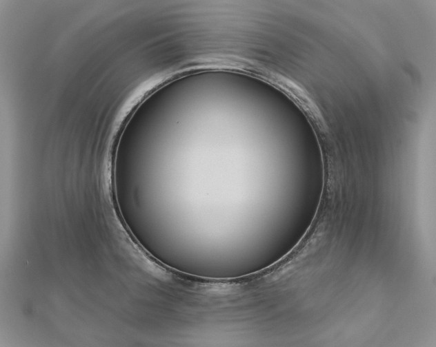 X0000112801188200909041426