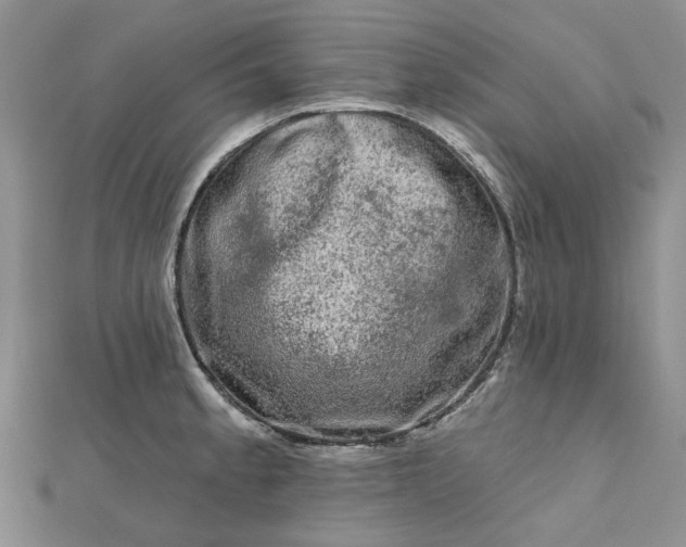 X0000112801189200909041426