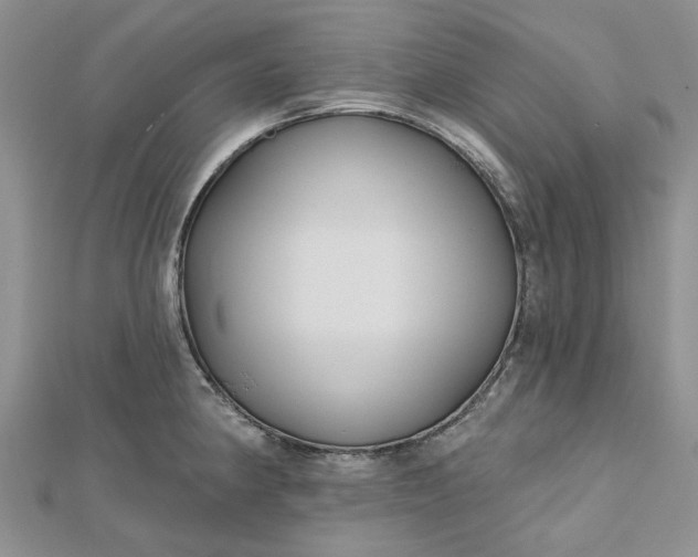 X0000112801190200909041426