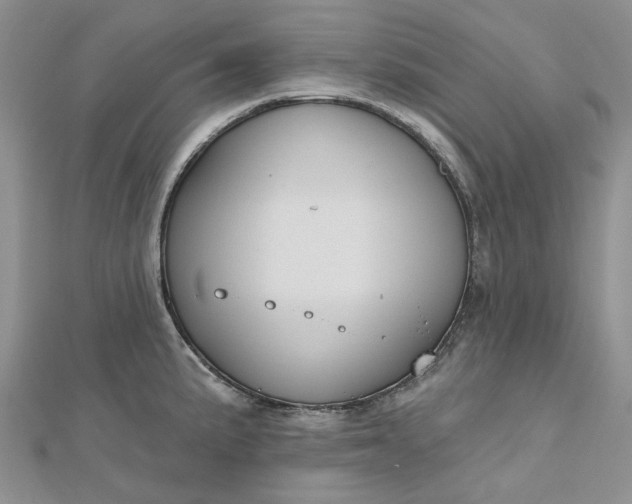 X0000112801191200909041426