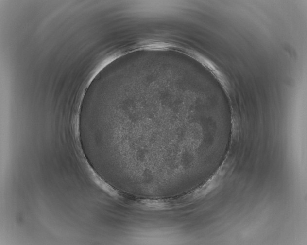 X0000112801194200909041426