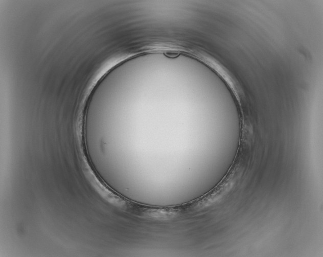 X0000112801195200909041426