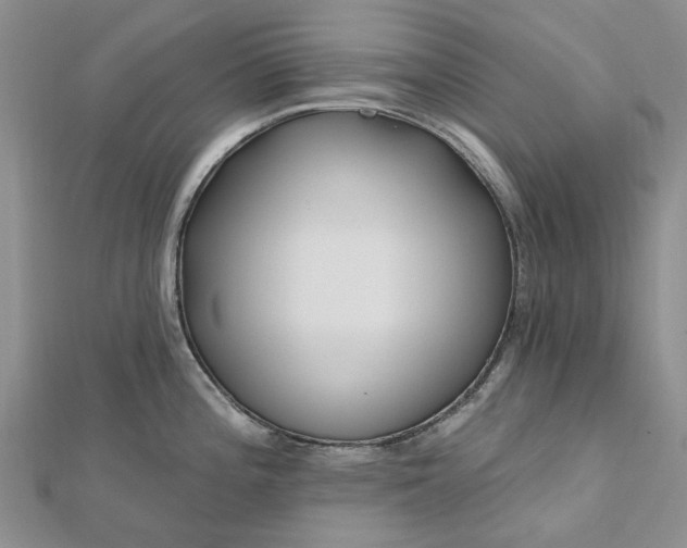 X0000112801196200909041426