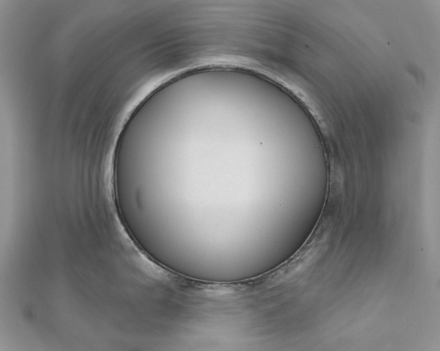 X0000112801199200909041426
