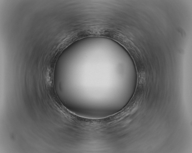 X0000112801202200909041425