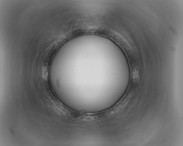X0000112801204200909041425