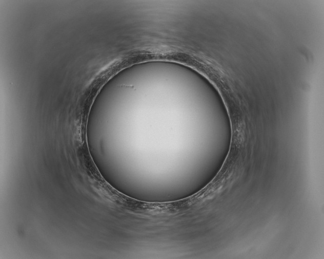 X0000112801205200909041425