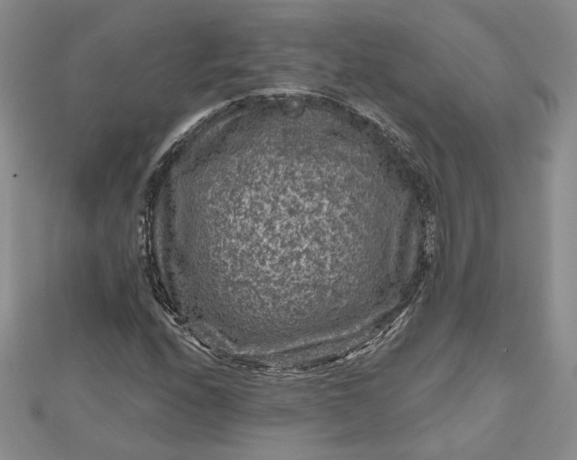 X0000112801208200909041426