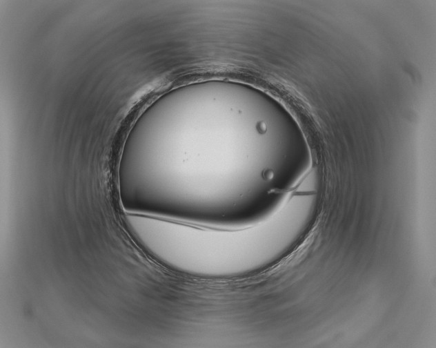 X0000112801210200909041426