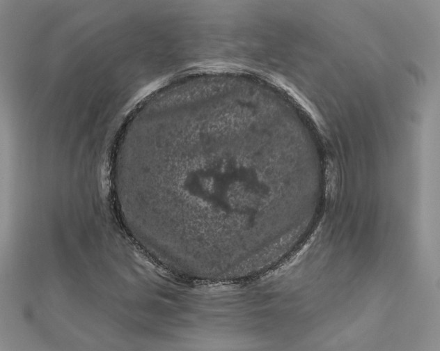 X0000112801213200909041426