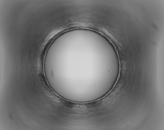 X0000112801215200909041426