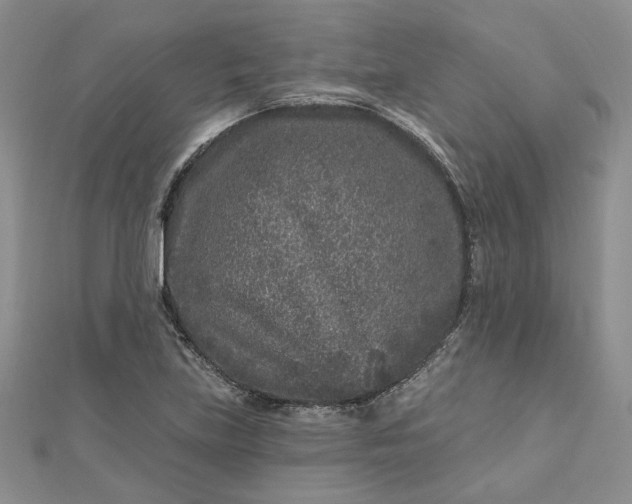 X0000112801219200909041426