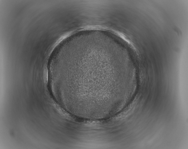 X0000112801221200909041426