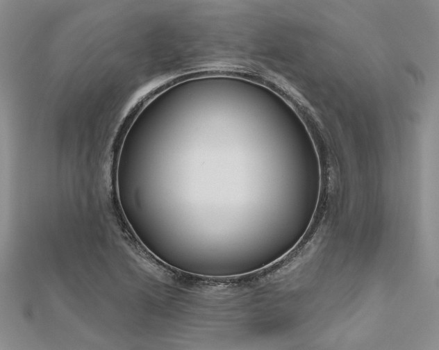 X0000112801222200909041426