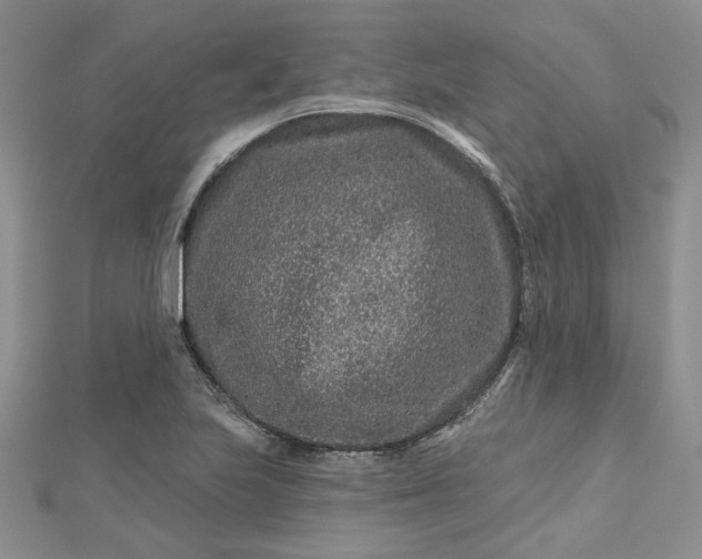 X0000112801223200909041426