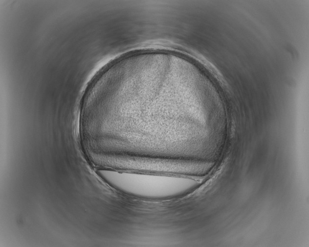 X0000112801224200909041426