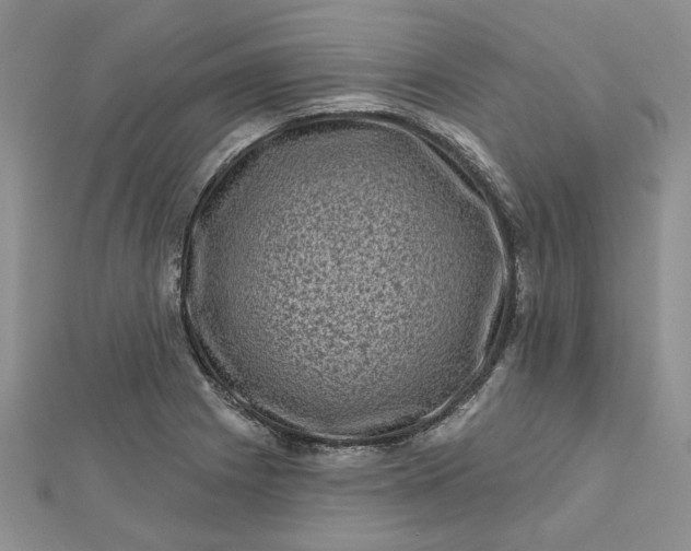 X0000112801225200909041426