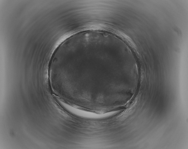 X0000112801226200909041426