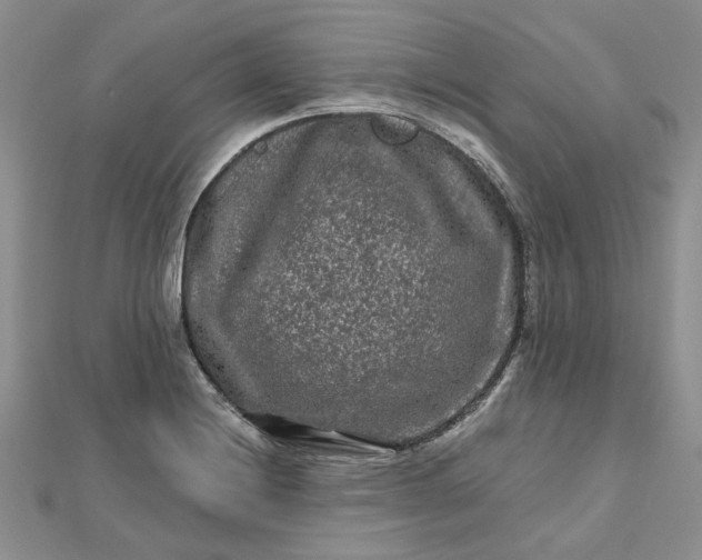 X0000112801228200909041426