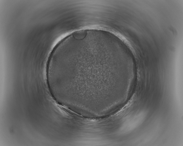 X0000112801230200909041426