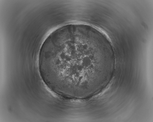 X0000112801231200909041426