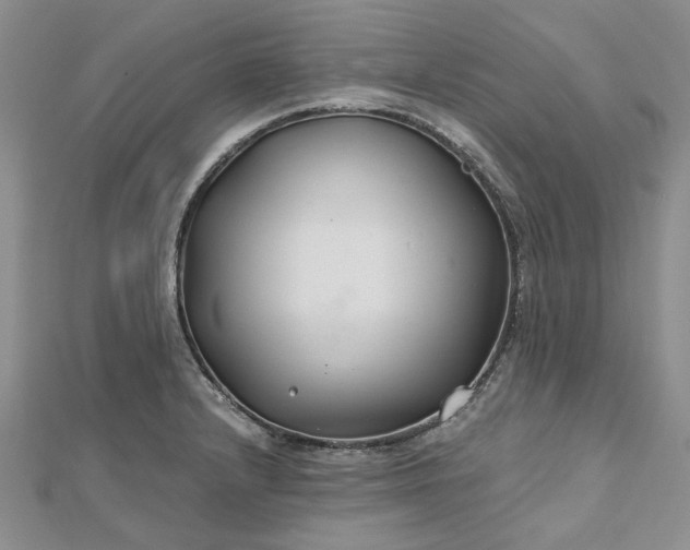 X0000112801232200909041426
