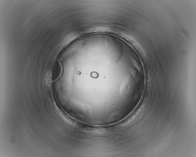 X0000112801233200909041426