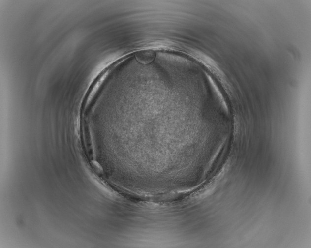 X0000112801234200909041426