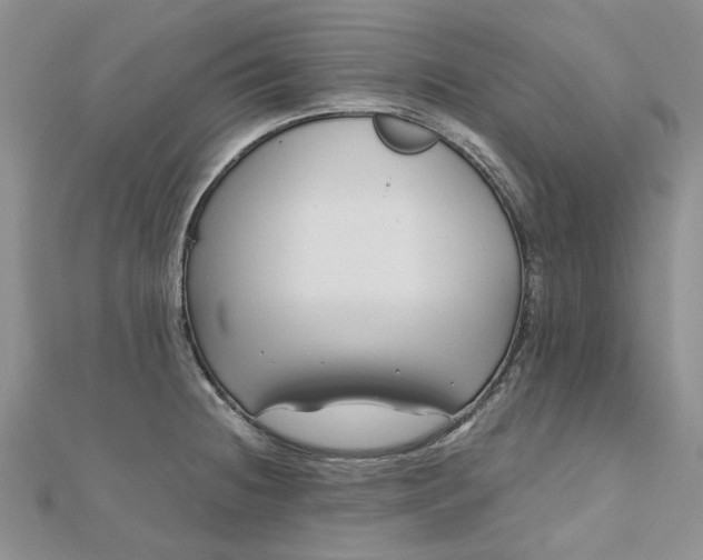 X0000112801236200909041426