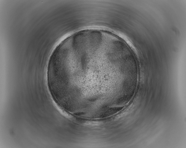 X0000112801237200909041426