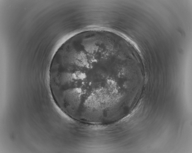 X0000112801239200909041426