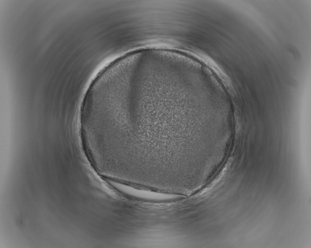 X0000112801240200909041426