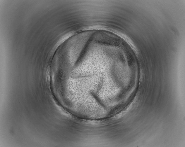 X0000112801241200909041426