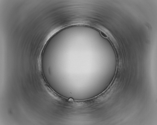 X0000112801242200909041426