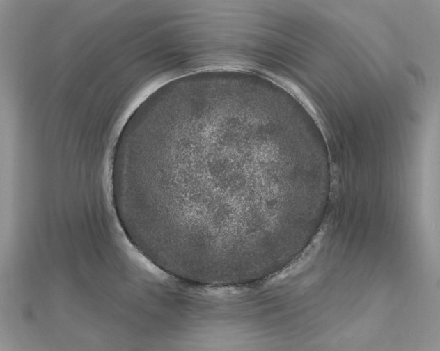 X0000112801243200909041426