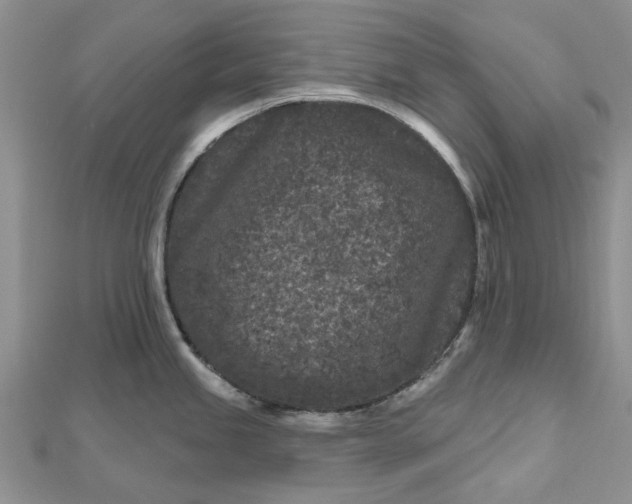 X0000112801245200909041426