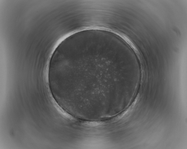 X0000112801246200909041426