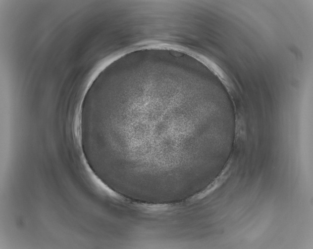 X0000112801247200909041426