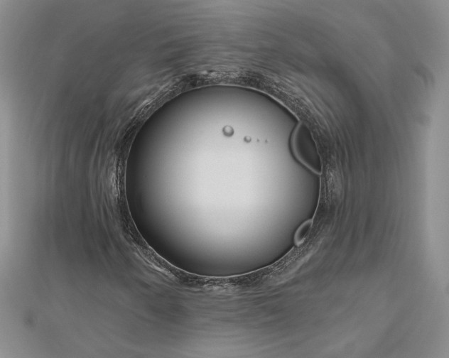 X0000112801250200909041425