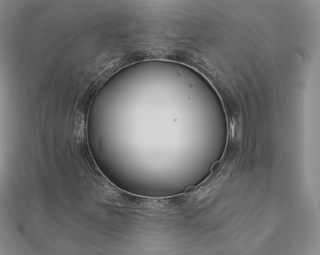 X0000112801251200909041425