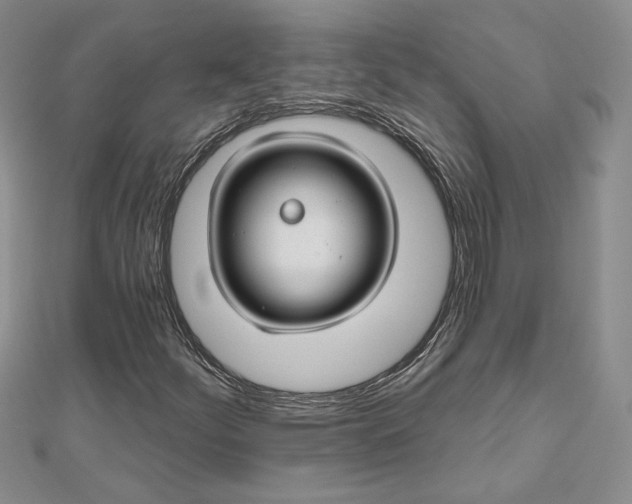 X0000112801252200909041425