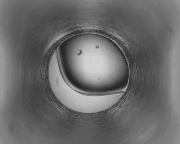 X0000112801255200909041425
