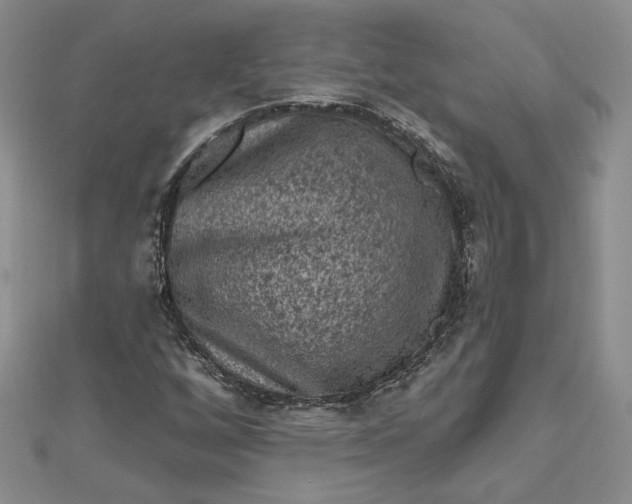 X0000112801256200909041425