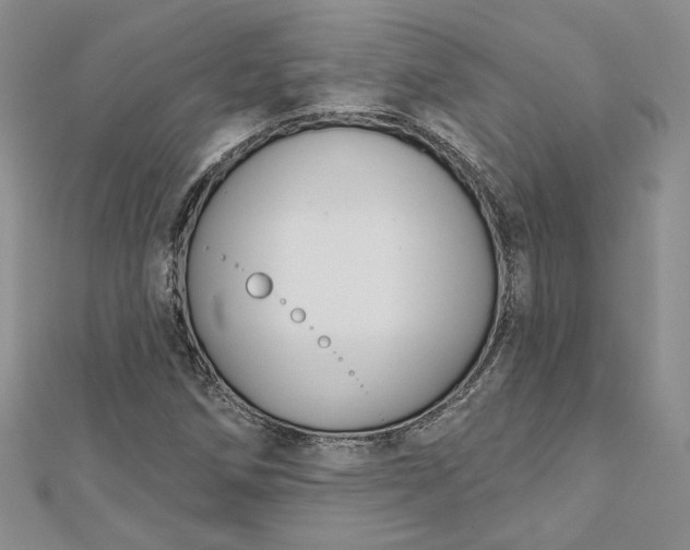 X0000112801258200909041425
