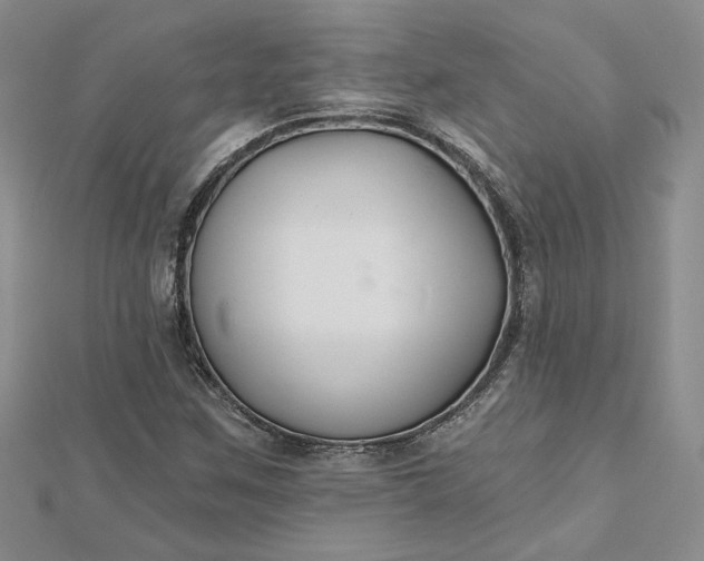 X0000112801259200909041425
