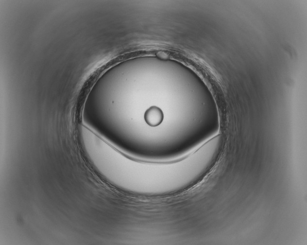 X0000112801261200909041425